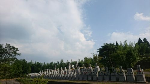 img_20180811-073356.jpg