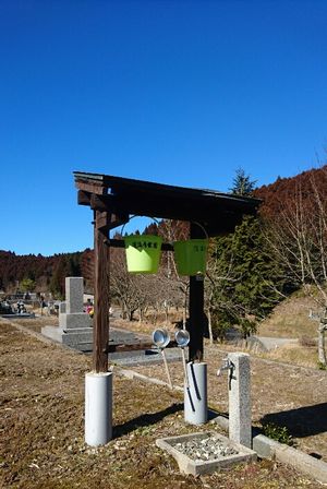 img_20180812-051901.jpg