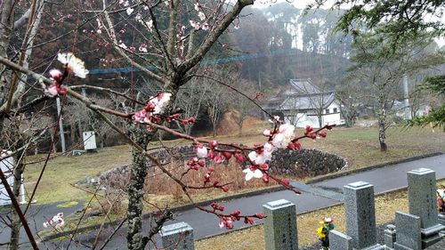 img_20190303-033308.jpg