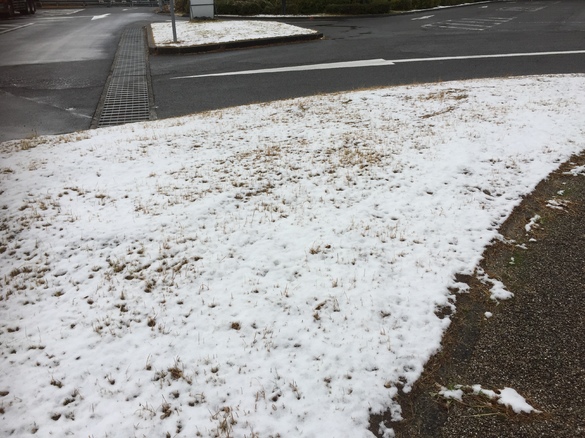 菩提寺PAの雪