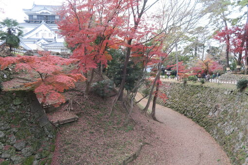 img_20221205-060833.jpg