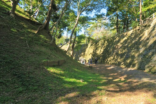 img_20221205-060923.jpg
