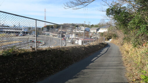 img_20230120-115020.jpg