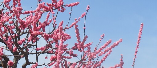 img_20230313-040048.jpg