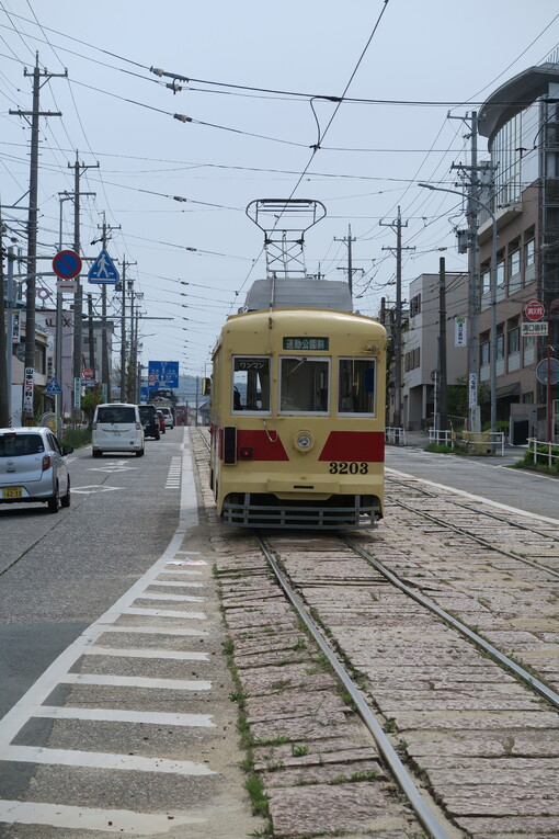 img_20230415-031448.jpg