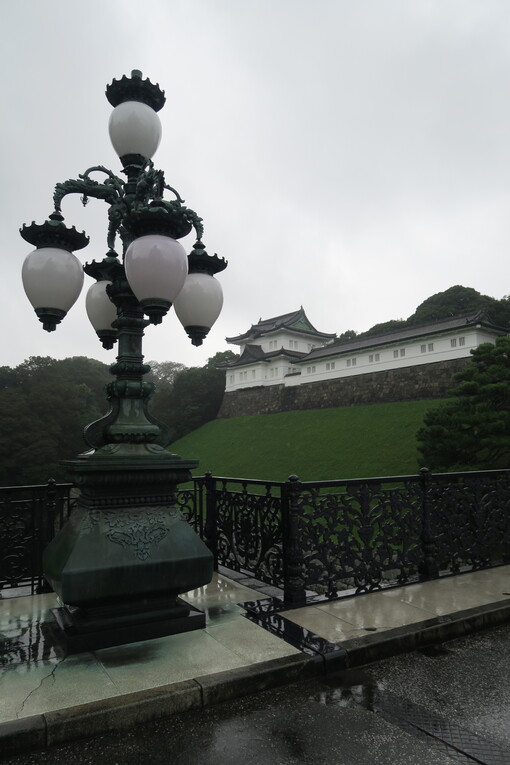 img_20230510-073624.jpg