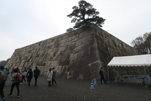 img_20230510-073706.jpg