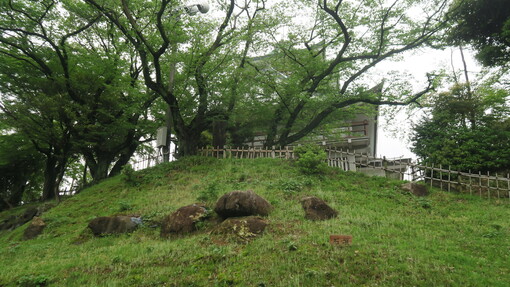 img_20230622-091312.jpg