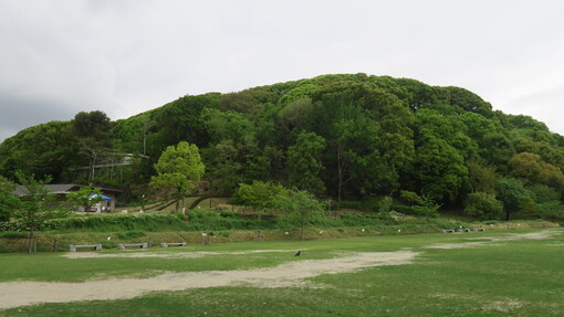 img_20230627-063755.jpg