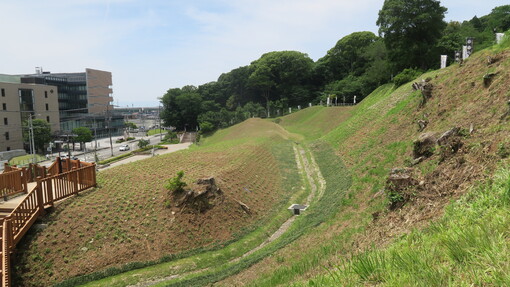 img_20230627-074341.jpg