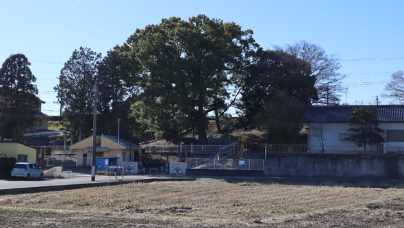 img_20240228-165116.jpg