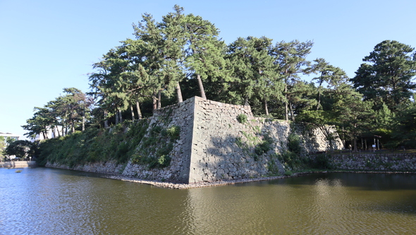img_20240827-232434.jpg