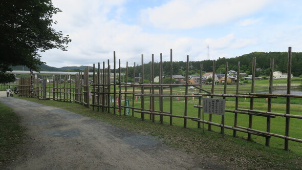 img_20250423-104647.jpg