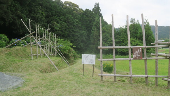 img_20250423-104737.jpg