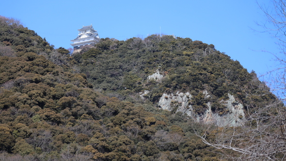 img_20250617-110049.jpg