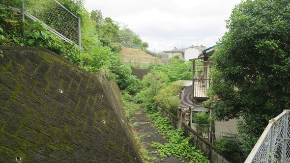 img_20250820-235057.jpg