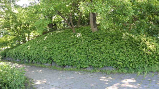 img_20260620-183442.jpg
