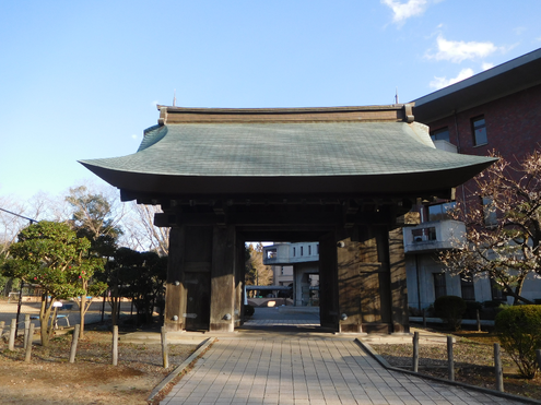 img_20241109-172625.png