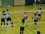 たつの新人戦 たつの新人戦