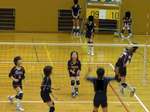 全日本VB姫路予選大会 全日本VB姫路予選大会