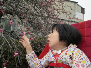 img_20170407-105712.jpg