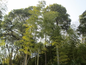 img_20190322-003520.jpg