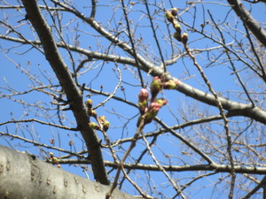 img_20190322-004323.jpg