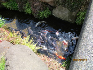 img_20190327-030941.jpg