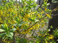 img_20190412-032845.jpg