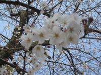 img_20190412-034003.jpg