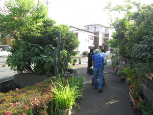 img_20190603-074517.jpg