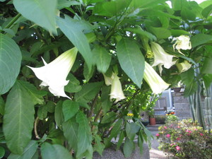 img_20190603-075039.jpg