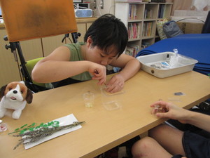 img_20190911-031751.jpg