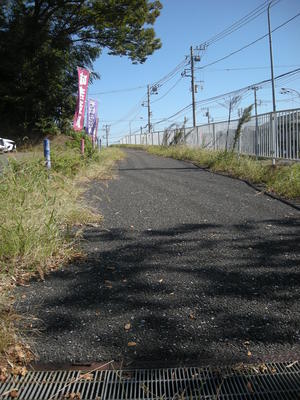 img_20191031-023900.jpg