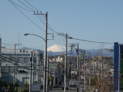img_20191210-084937.jpg