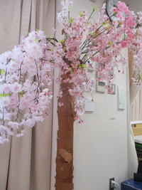img_20200407-075931.jpg
