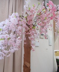 img_20200410-083808.jpg