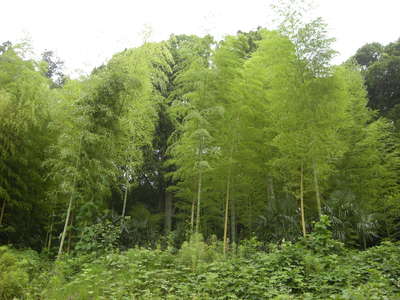 img_20200618-093234.jpg