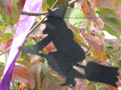 img_20201013-031609.jpg