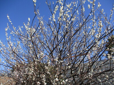 img_20210220-090514.jpg