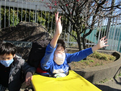 img_20210220-090556.jpg
