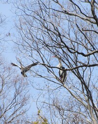 img_20210310-085202.jpg