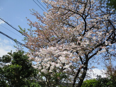 img_20210403-082736.jpg