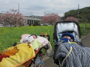 img_20210426-082708.jpg