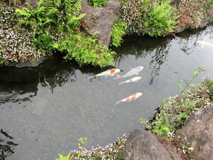 img_20210428-092834.jpg