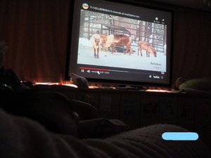 img_20211217-020503.jpg