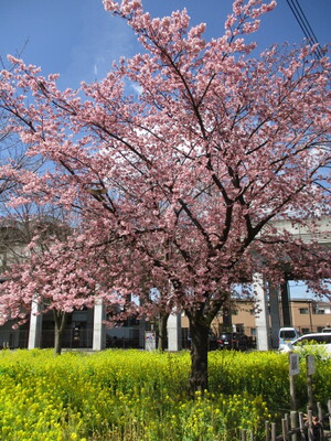 img_20220314-055839.jpg