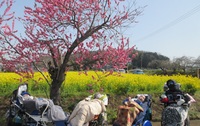 img_20220331-102054.jpg