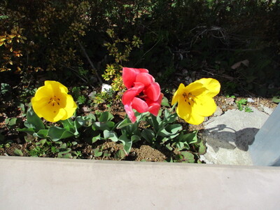 img_20220406-094320.jpg