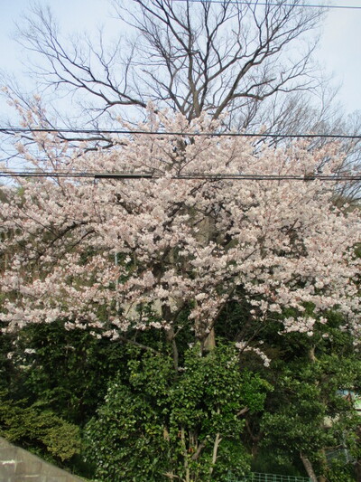 img_20220407-103741.jpg